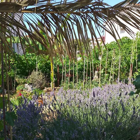 Levak - Apt.3 Pjescana Uvala