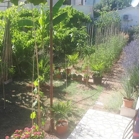 Levak - Apt.3 Pjescana Uvala