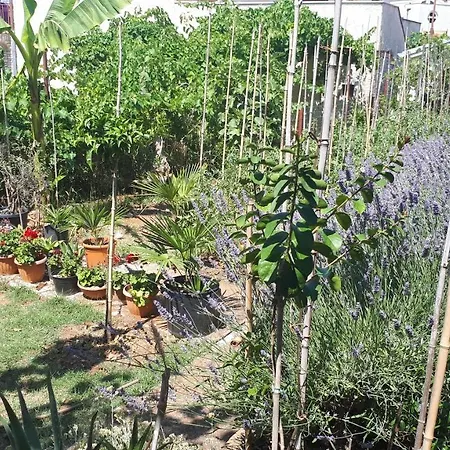 Διαμέρισμα Levak - Apt.3 *