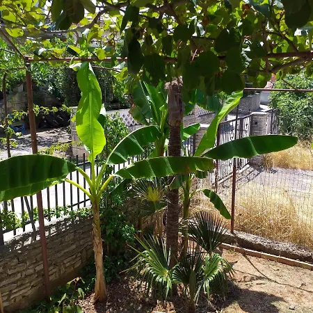 Apartman Levak - Apt.3