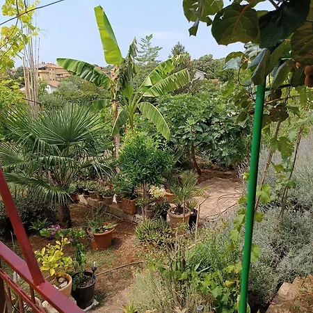 Διαμέρισμα Levak - Apt.3 Pjescana Uvala