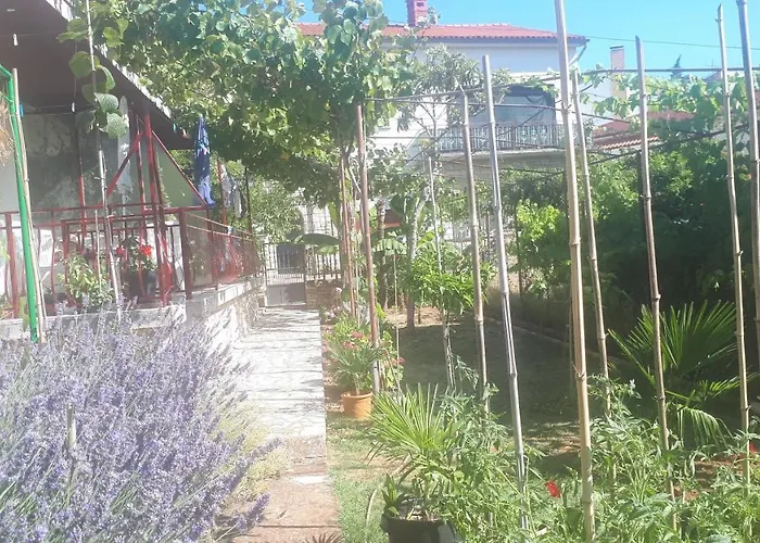 Levak - Apt.3 * Pjescana Uvala