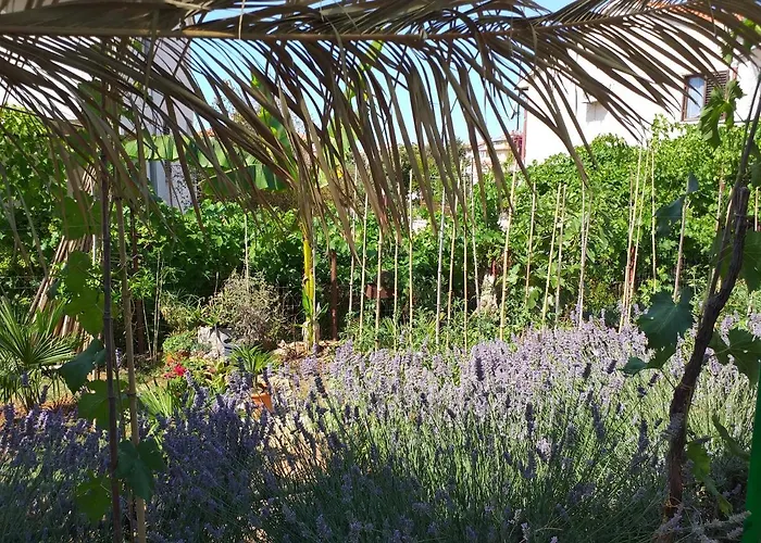 Levak - Apt.3 Pjescana Uvala