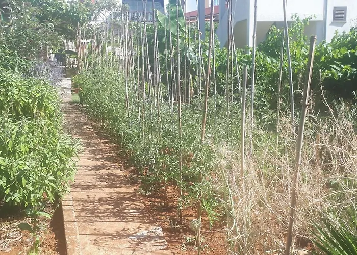 Levak - Apt.3 Pjescana Uvala