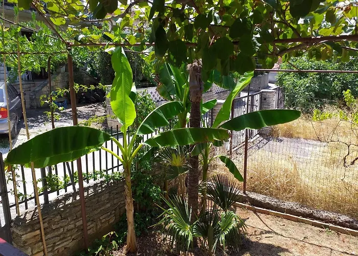 Apartman Levak - Apt.3