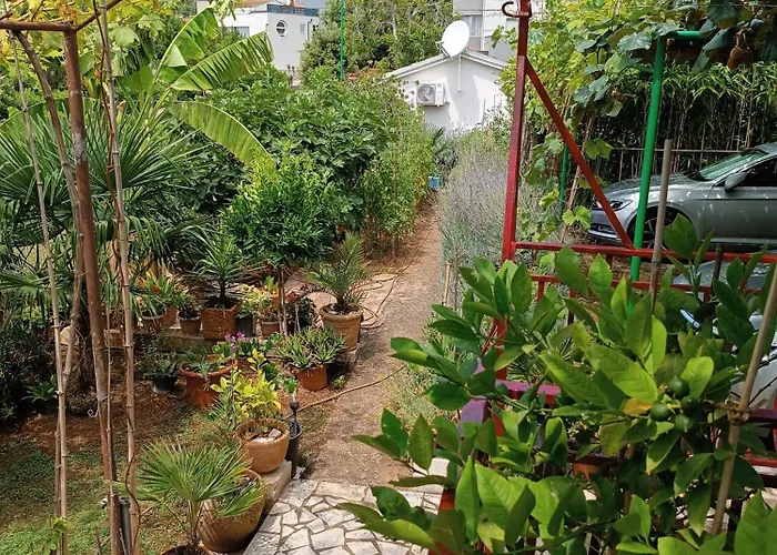 Levak - Apt.3 Apartman *