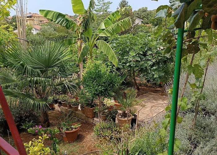 Apartman Levak - Apt.3 Pjescana Uvala