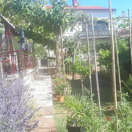 Levak - Apt.3 * Pjescana Uvala